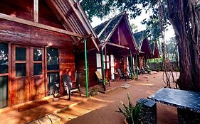 Cool Banyan Cabana